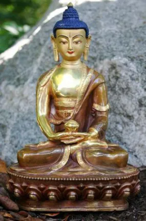 8 inch Fine Quality Amitabha