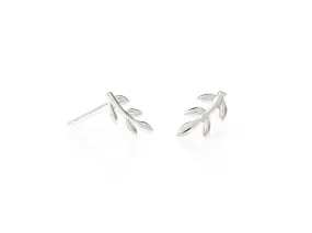 Daisy London Vine Stud Earrings